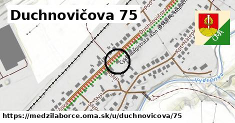 Duchnovičova 75, Medzilaborce