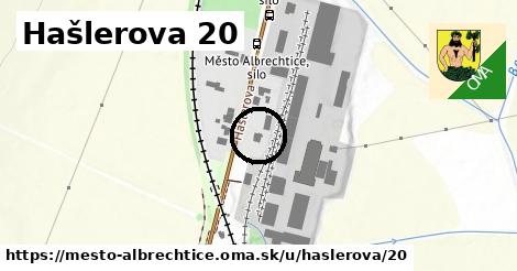 Hašlerova 20, Město Albrechtice