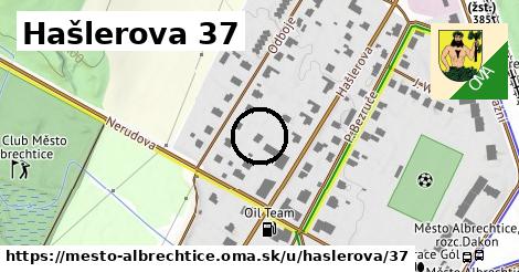 Hašlerova 37, Město Albrechtice