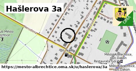 Hašlerova 3a, Město Albrechtice
