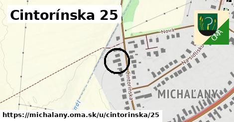 Cintorínska 25, Michaľany