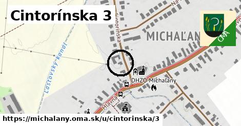 Cintorínska 3, Michaľany