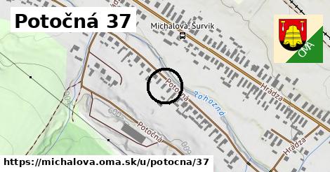 Potočná 37, Michalová