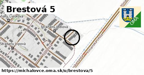 Brestová 5, Michalovce