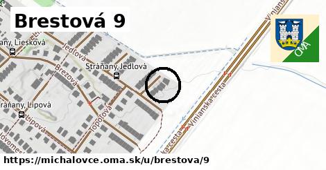 Brestová 9, Michalovce