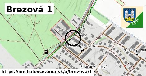 Brezová 1, Michalovce