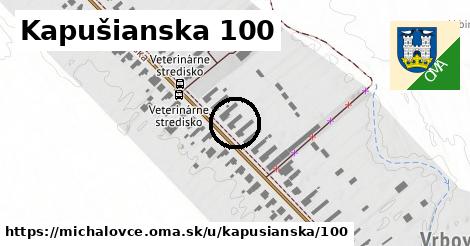 Kapušianska 100, Michalovce