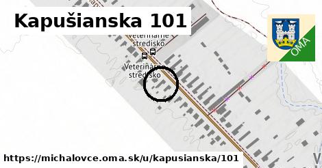 Kapušianska 101, Michalovce