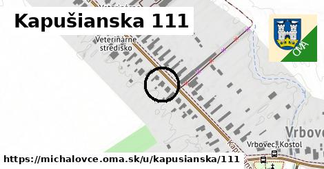 Kapušianska 111, Michalovce