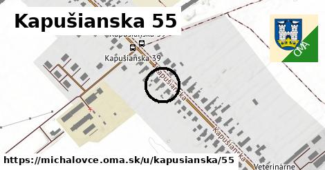 Kapušianska 55, Michalovce