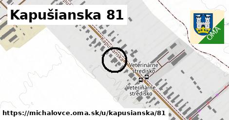 Kapušianska 81, Michalovce
