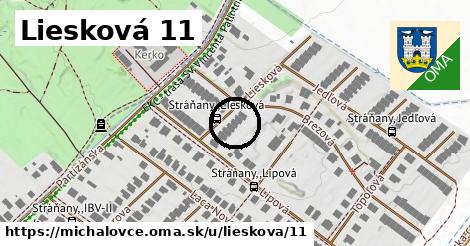 Liesková 11, Michalovce