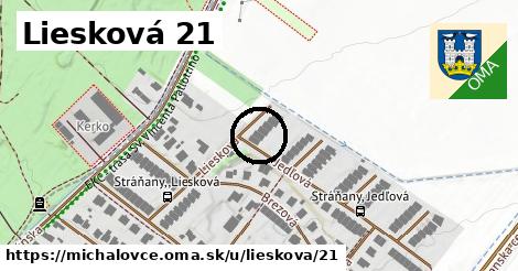 Liesková 21, Michalovce