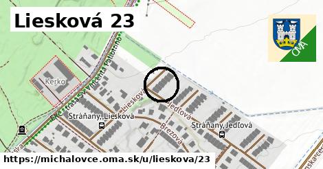 Liesková 23, Michalovce