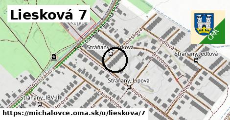 Liesková 7, Michalovce