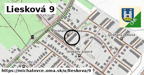 Liesková 9, Michalovce