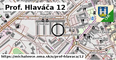 Prof. Hlaváča 12, Michalovce