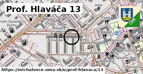 Prof. Hlaváča 13, Michalovce