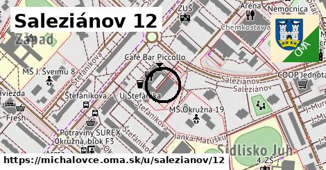 Saleziánov 12, Michalovce
