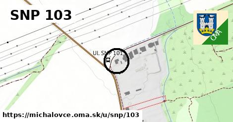 SNP 103, Michalovce