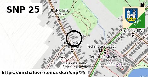 SNP 25, Michalovce