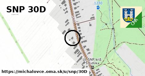 SNP 30D, Michalovce
