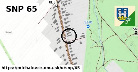 SNP 65, Michalovce