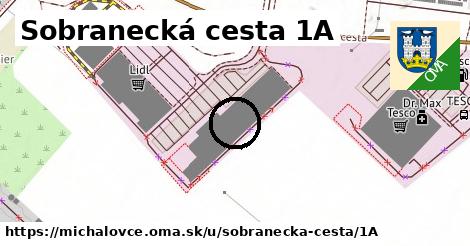 Sobranecká cesta 1A, Michalovce