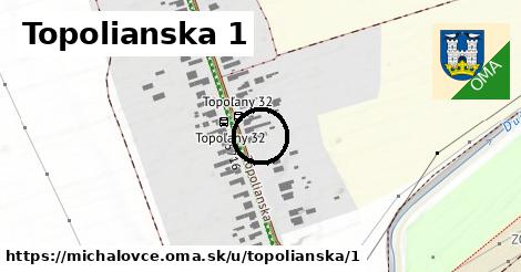 Topolianska 1, Michalovce