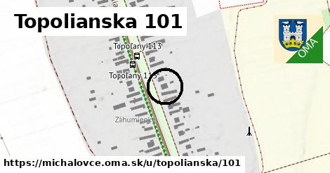 Topolianska 101, Michalovce