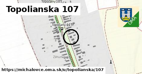 Topolianska 107, Michalovce