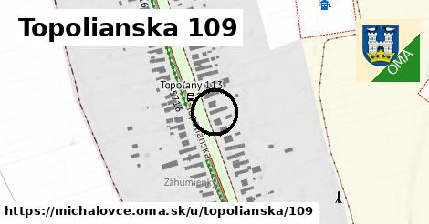 Topolianska 109, Michalovce
