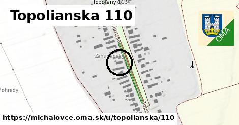 Topolianska 110, Michalovce