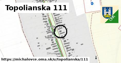 Topolianska 111, Michalovce