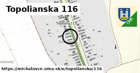 Topolianska 116, Michalovce
