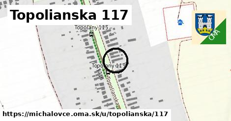 Topolianska 117, Michalovce