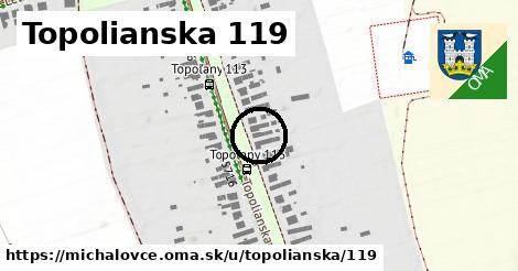 Topolianska 119, Michalovce