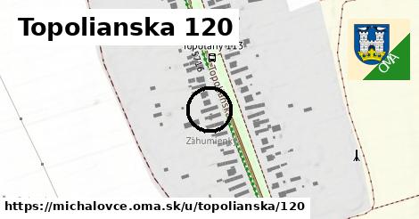 Topolianska 120, Michalovce