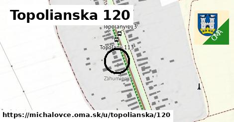 Topolianska 120, Michalovce