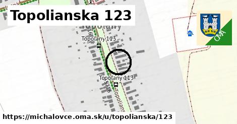 Topolianska 123, Michalovce