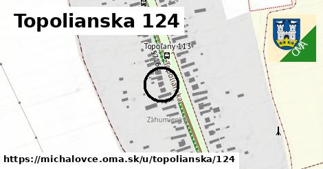 Topolianska 124, Michalovce