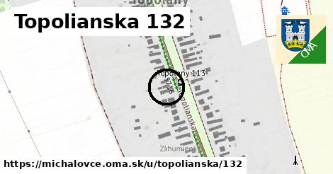 Topolianska 132, Michalovce