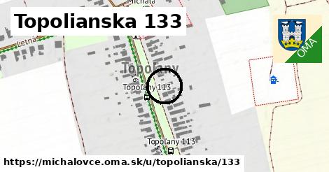 Topolianska 133, Michalovce