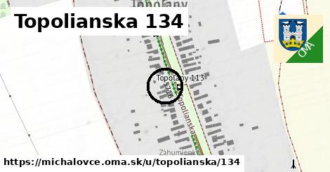 Topolianska 134, Michalovce