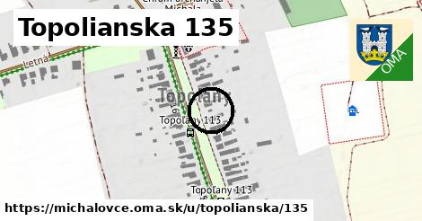 Topolianska 135, Michalovce