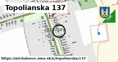 Topolianska 137, Michalovce