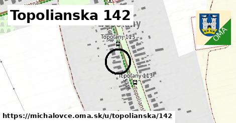 Topolianska 142, Michalovce