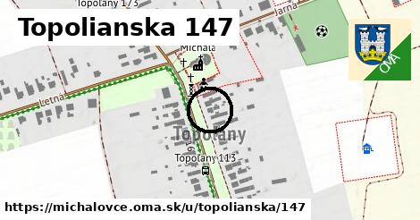 Topolianska 147, Michalovce