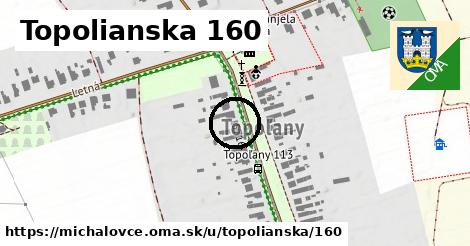 Topolianska 160, Michalovce