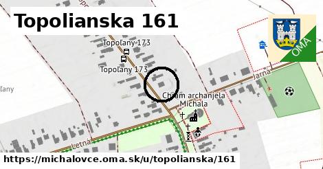Topolianska 161, Michalovce